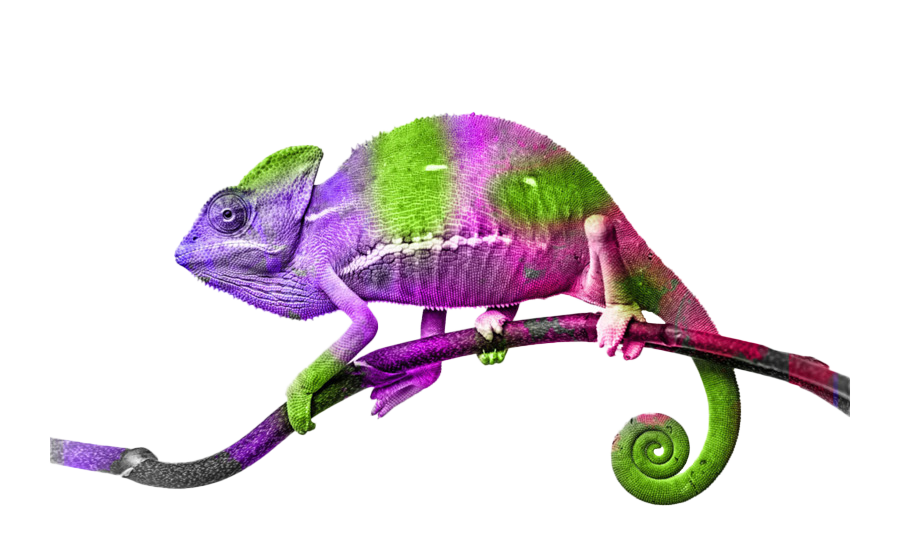 Purple Picture Lizard PNG File HD PNG Image