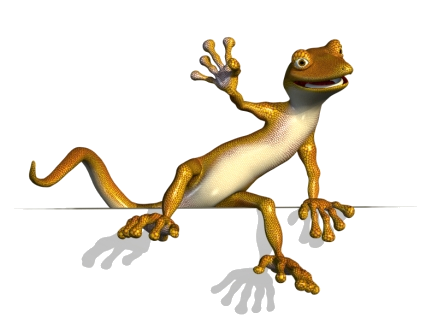 Lizard Free Download PNG Image