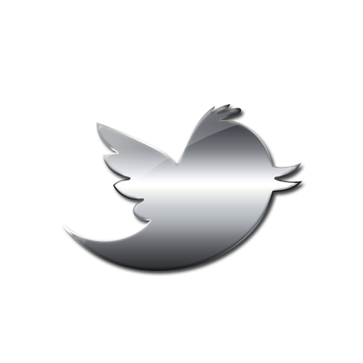 Icons Media Twitter Bird Computer Social Logo PNG Image