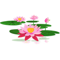 Download Lotus Free Png Photo Images And Clipart Freepngimg