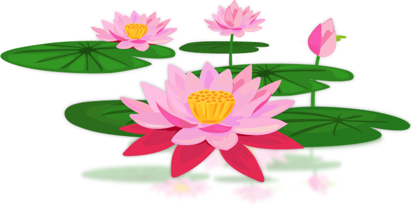 Lotus PNG Image