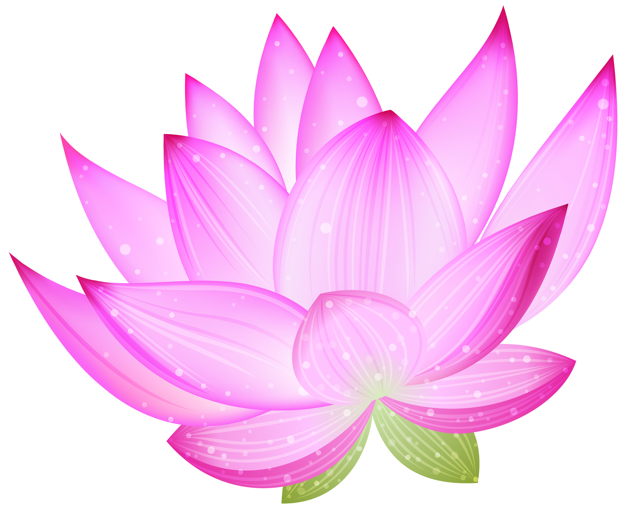 Lotus Clipart PNG Image