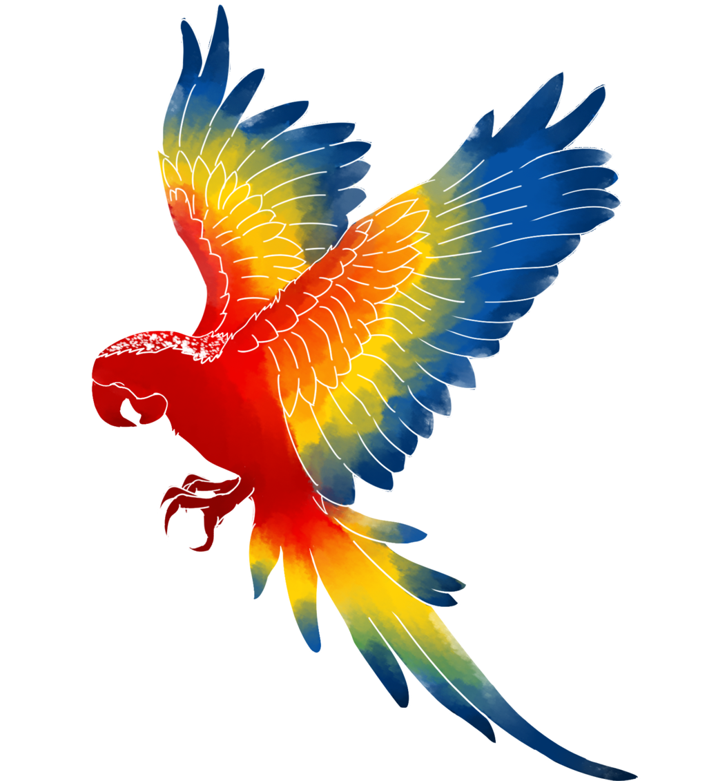 Macaw Png Image PNG Image