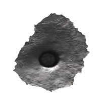 Download Miscellaneous Free PNG photo images and clipart | FreePNGImg