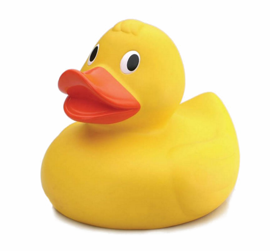 Download Rubber Duck HQ Image Free PNG HQ PNG Image | FreePNGImg
