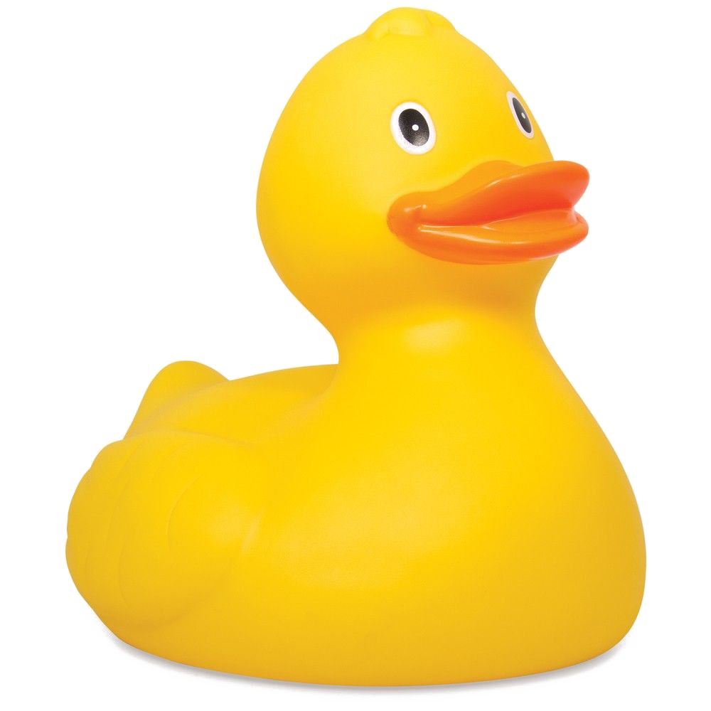 Rubber Duck Photos Download Free Image PNG Image