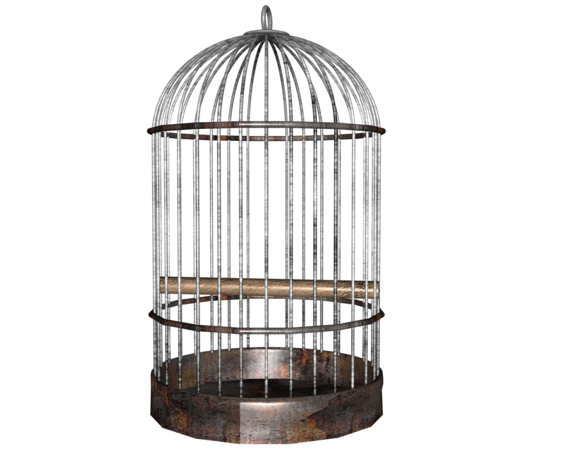 Cage Free Download PNG HQ PNG Image