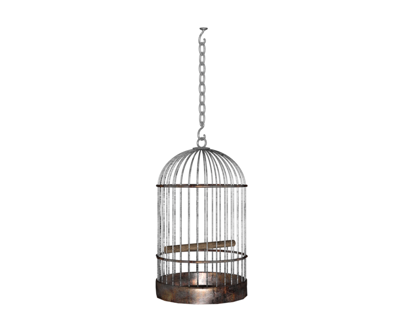 Cage Free Clipart HD PNG Image