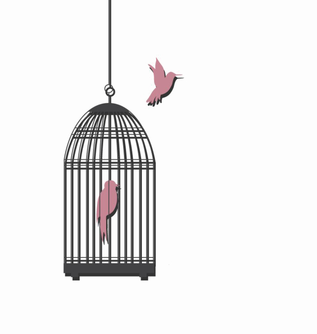 Caged Bird Picture Download HD PNG PNG Image