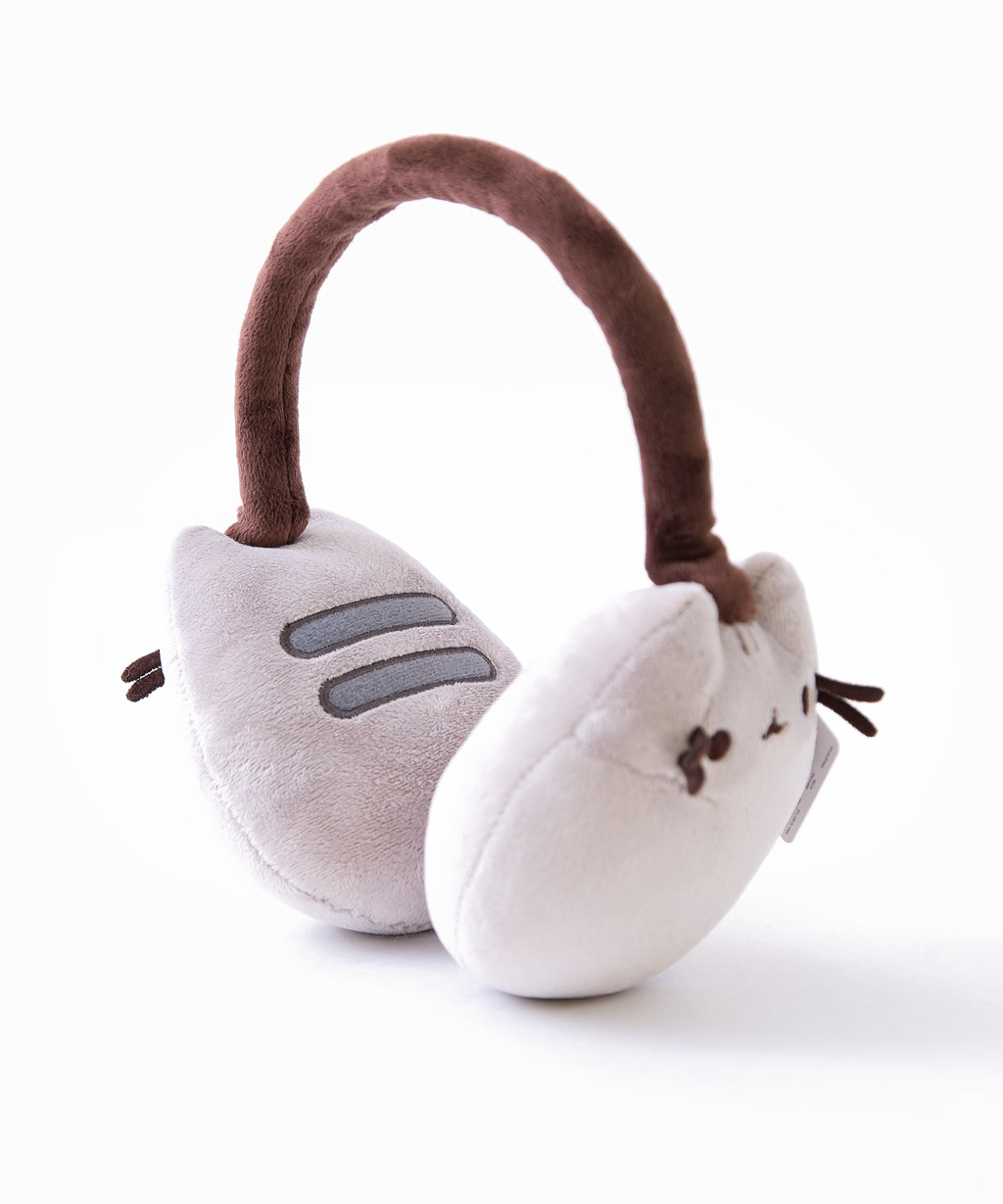 Earmuffs Picture Free HQ Image PNG Image
