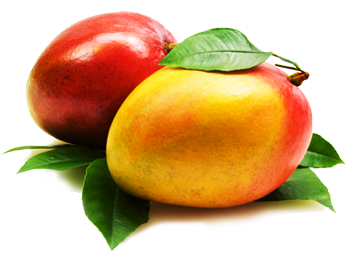 Mango Png Clipart PNG Image