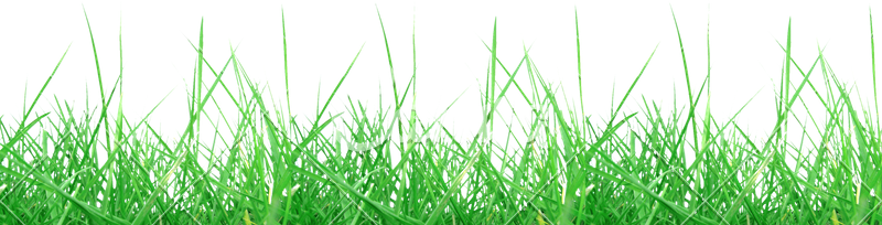 Meadow Free Clipart HD Transparent PNG Image