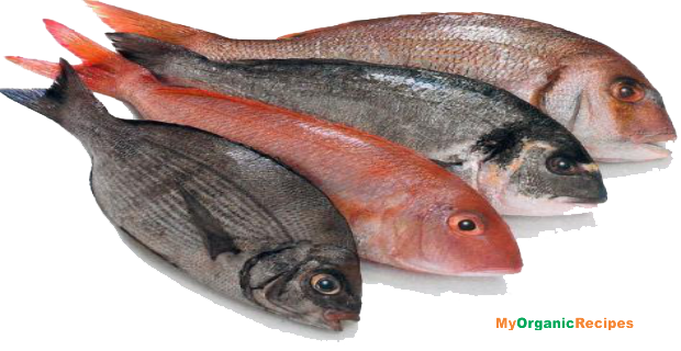 Fish Meat File PNG Image