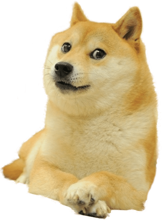 Meme Doge Free PNG HQ PNG Image