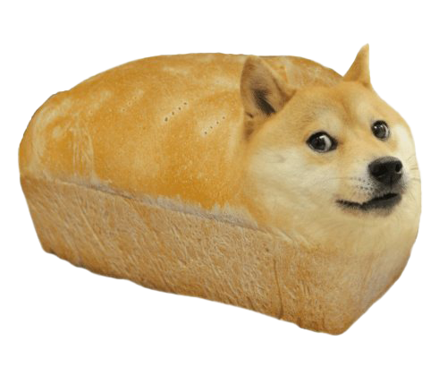 Shiba Inu Doge Meme Free HQ Image PNG Image