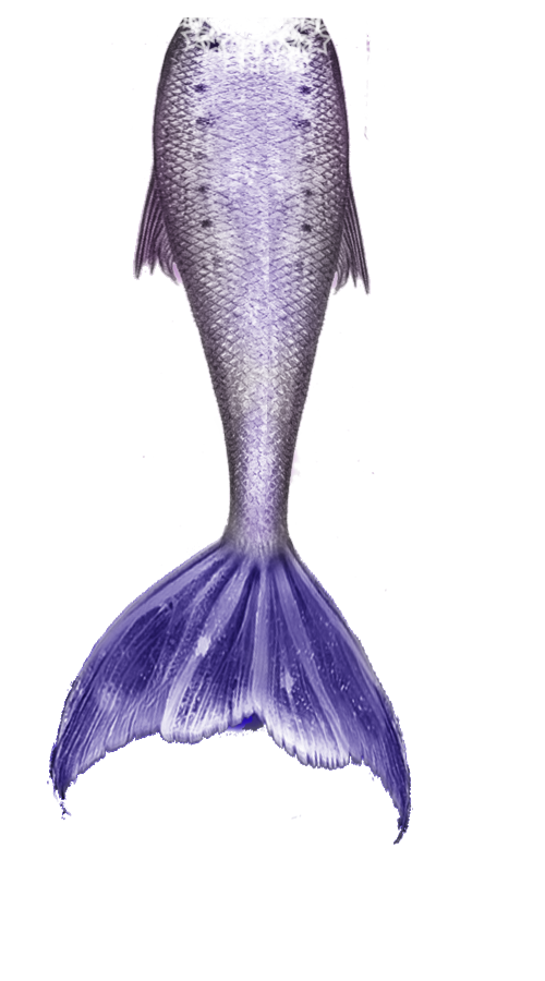 Mermaid Tail Free Download Png PNG Image