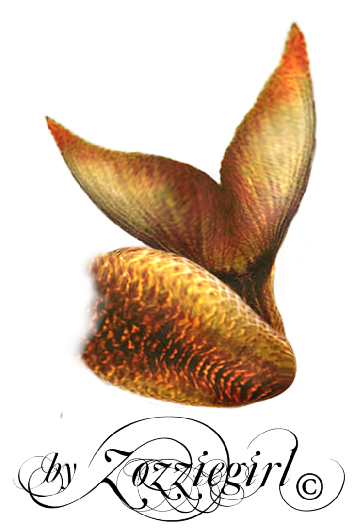 Mermaid Tail Png Clipart PNG Image
