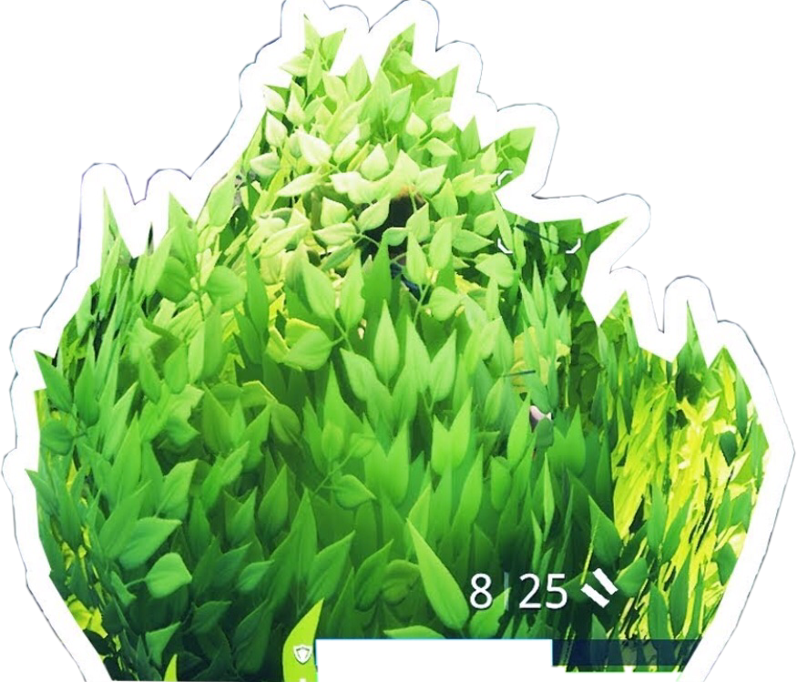 Vegetable Leaf Royale Game Fortnite Battle Grass PNG Image