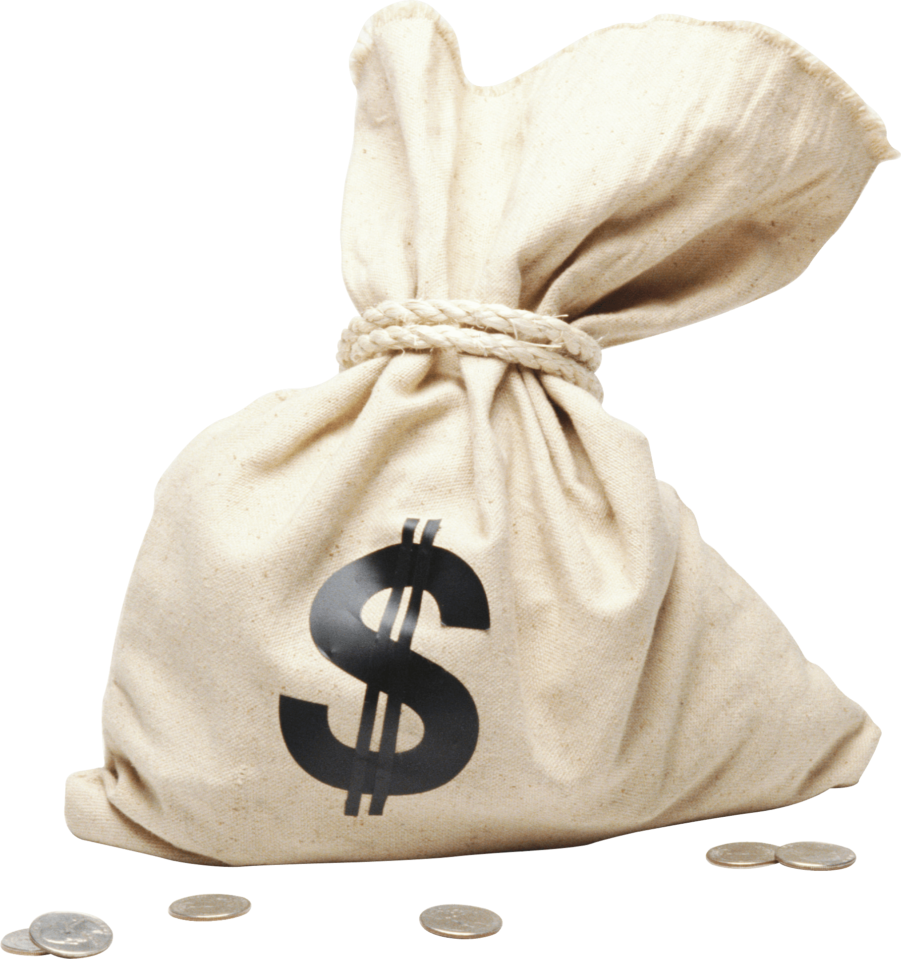 Money Bag Png Image PNG Image