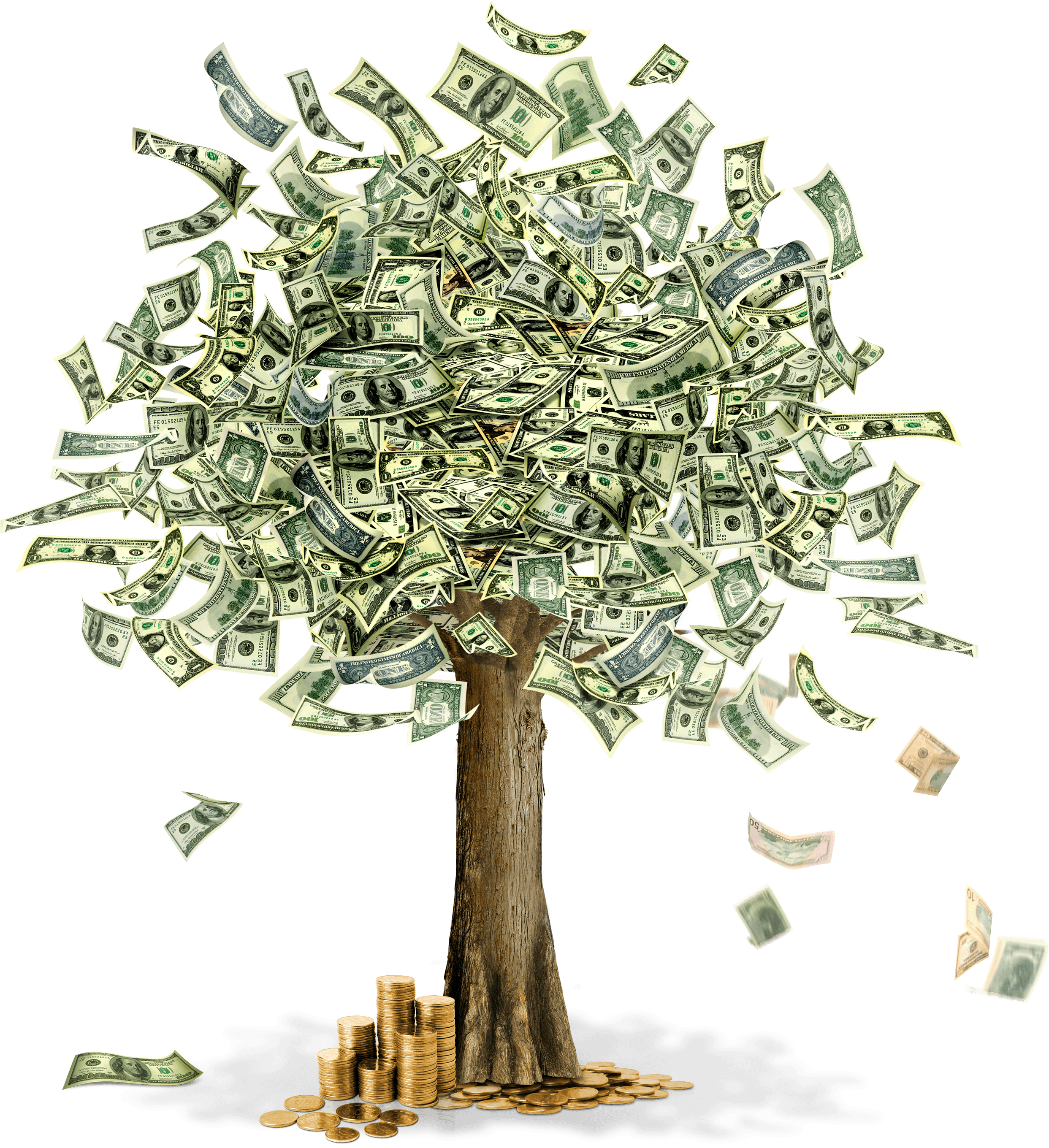 Money Moneytree Free HD Image PNG Image