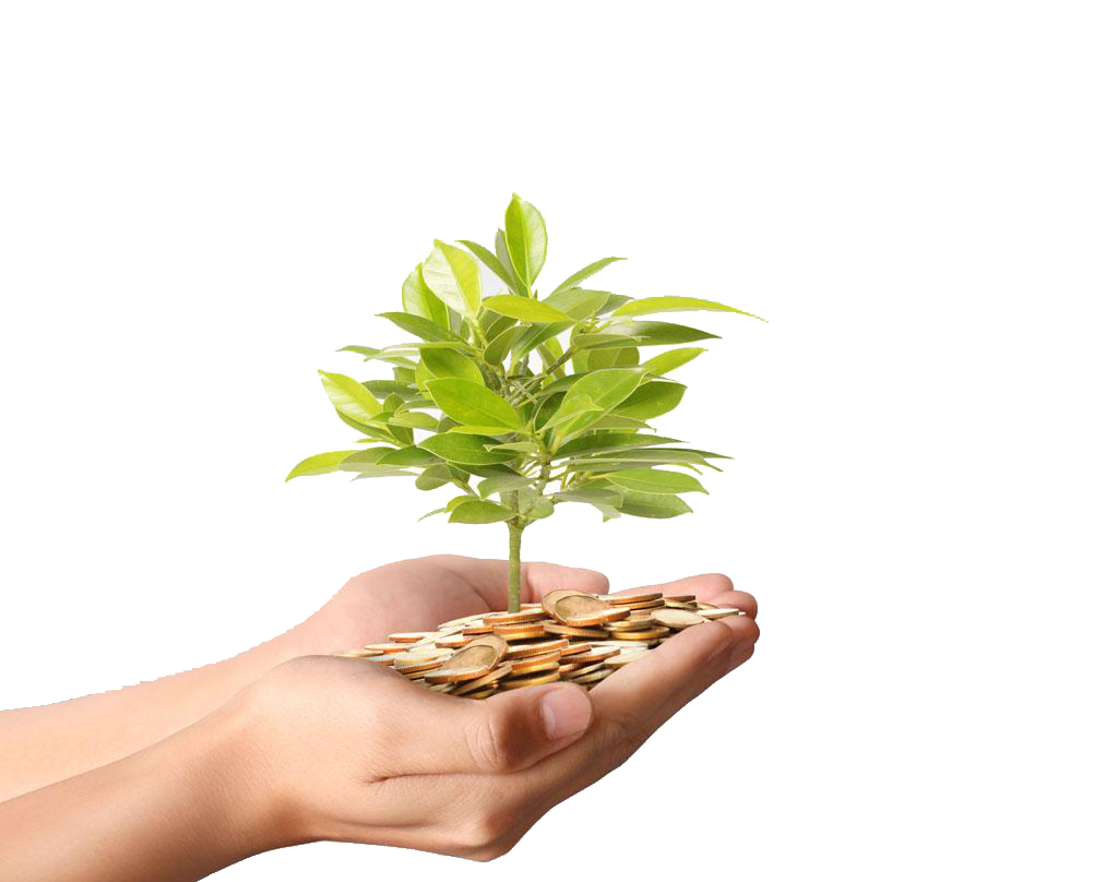 Download Plant Material Gold Money Photography Coins Tree ...