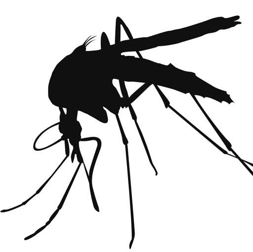 Mosquito High-Quality Png PNG Image