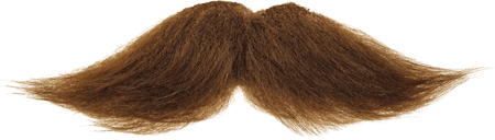 Moustache Free Download Png PNG Image