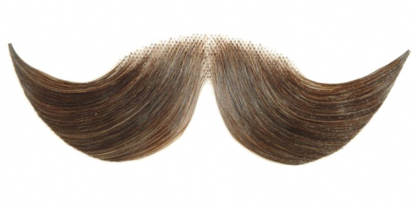 Fake Moustache HD Free HQ Image PNG Image