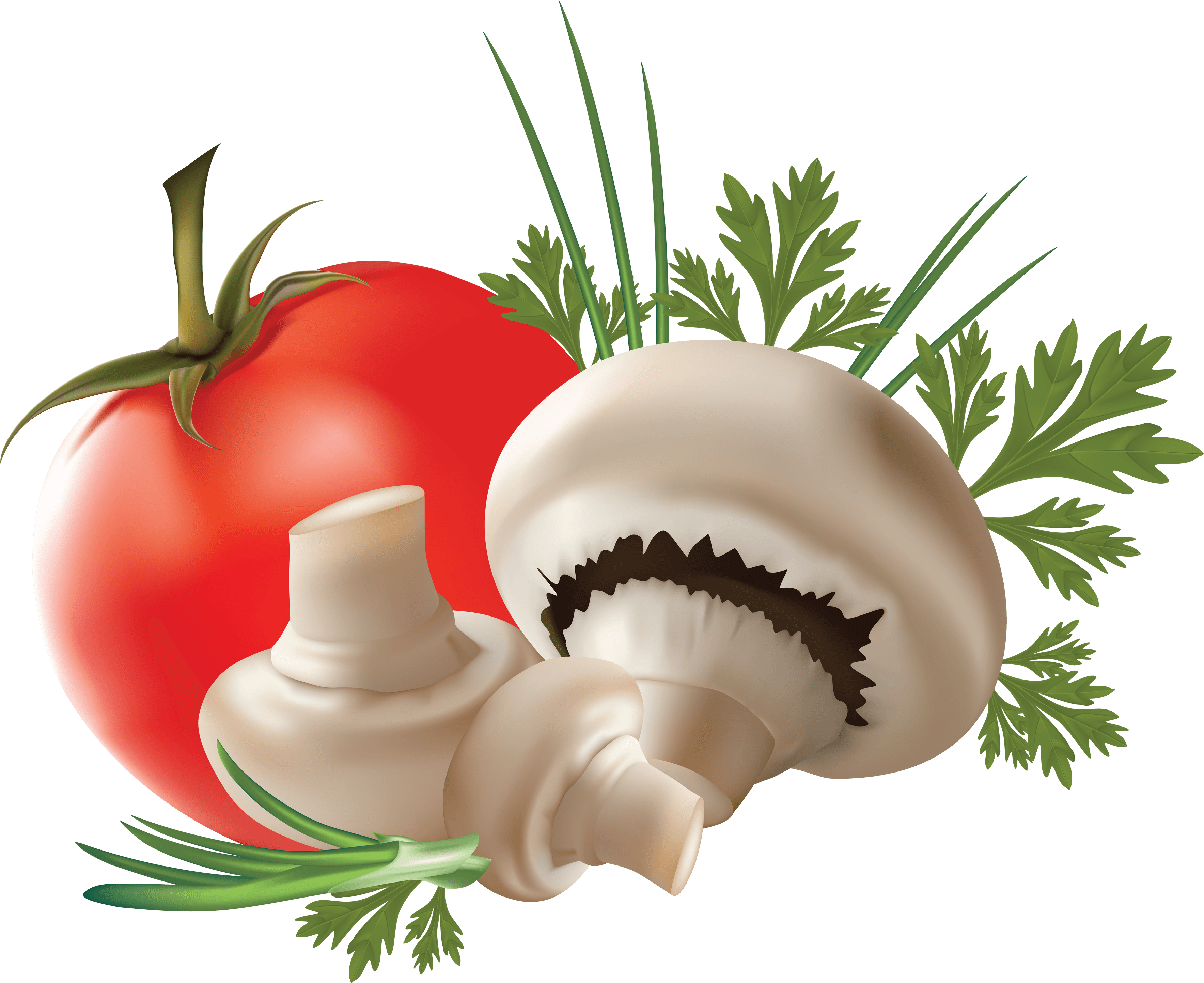 Mushroom Png Image PNG Image