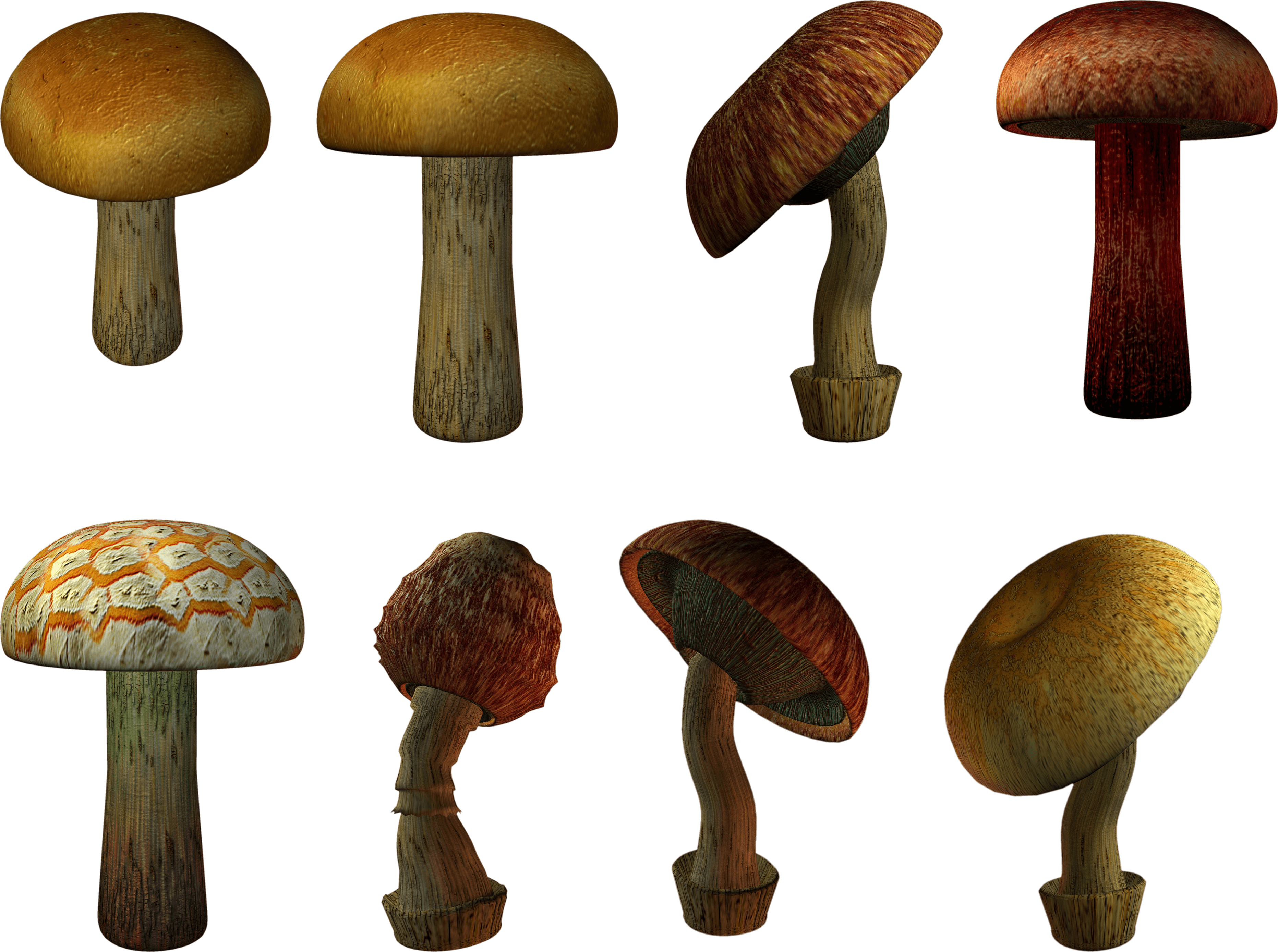 Mushroom Png Image PNG Image