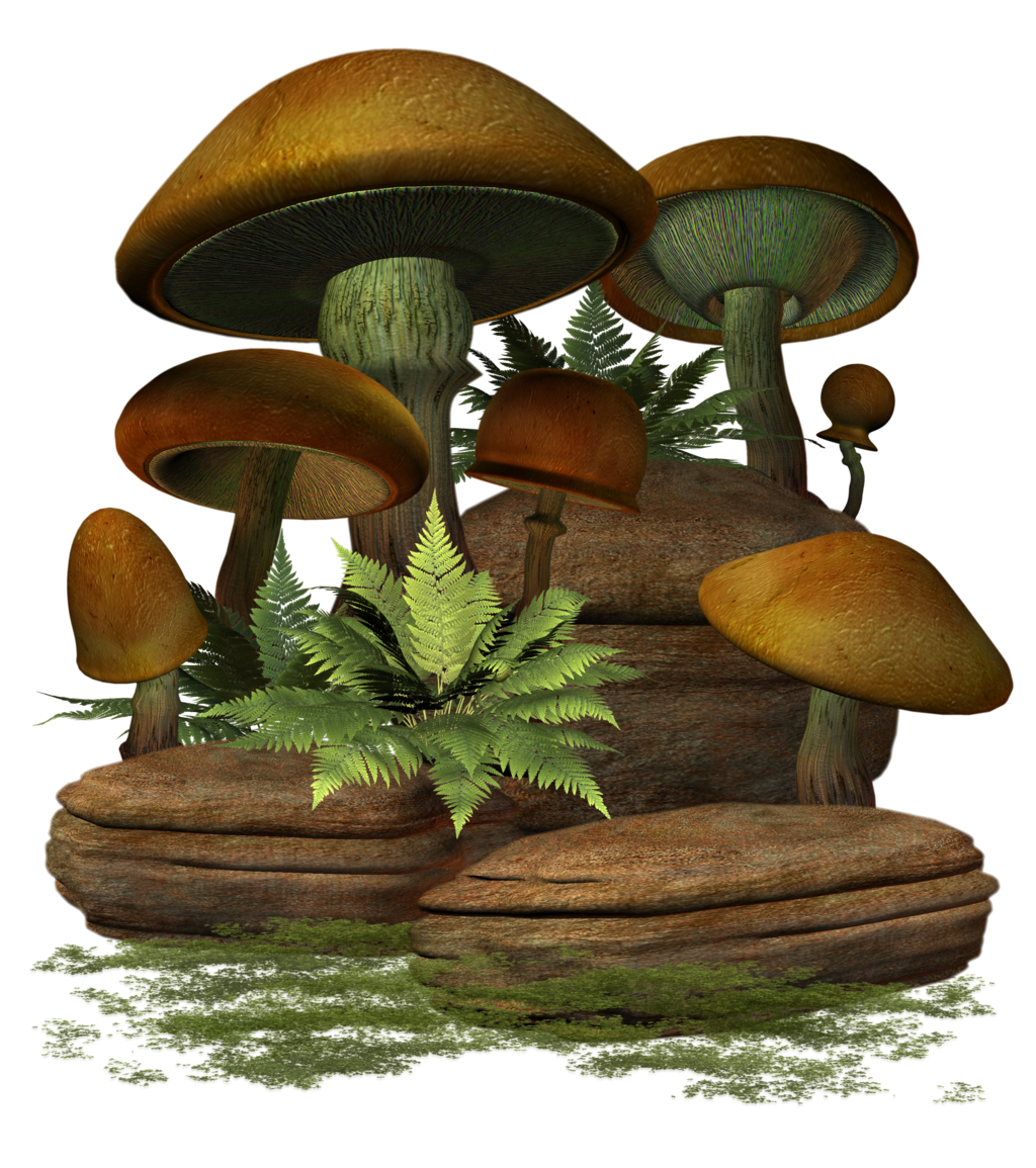 Mushroom PNG Image