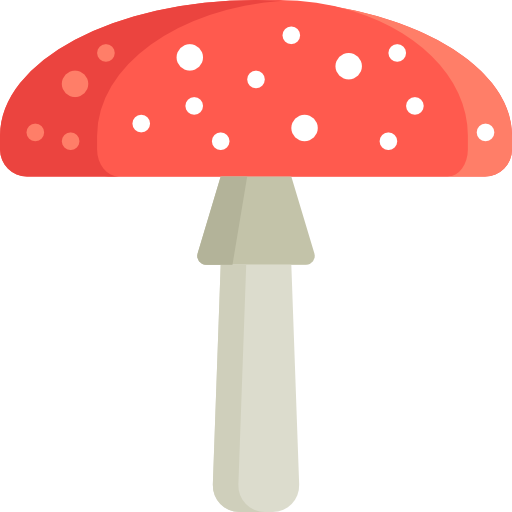 Amanita Muscaria Photos PNG Image