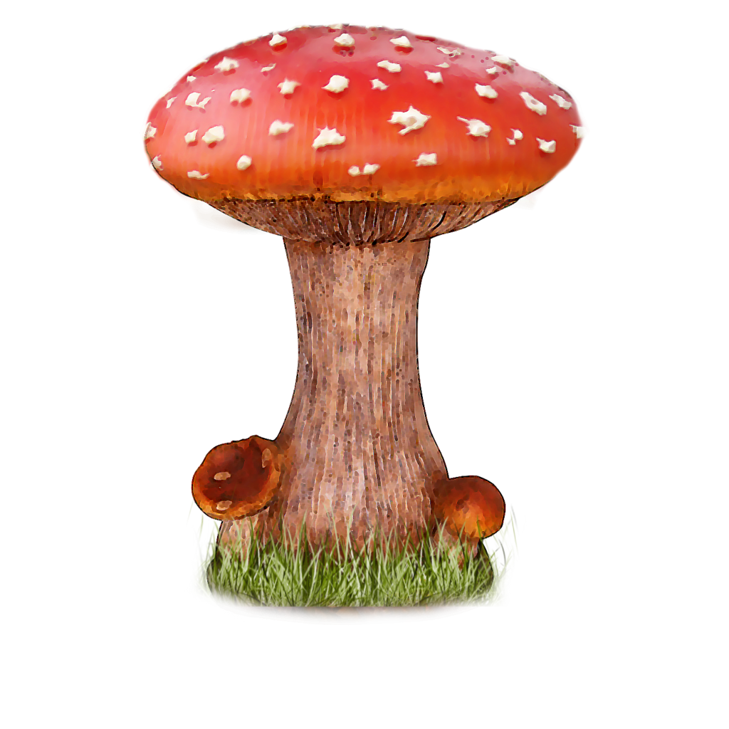 Mushroom Png File PNG Image
