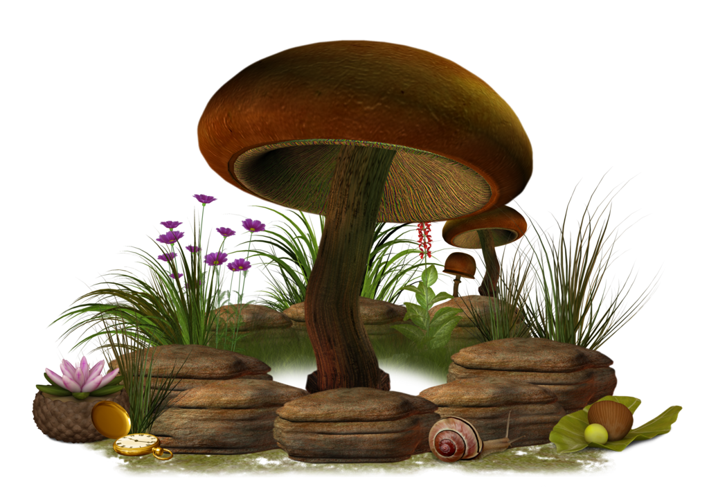 Mushroom Png Clipart PNG Image