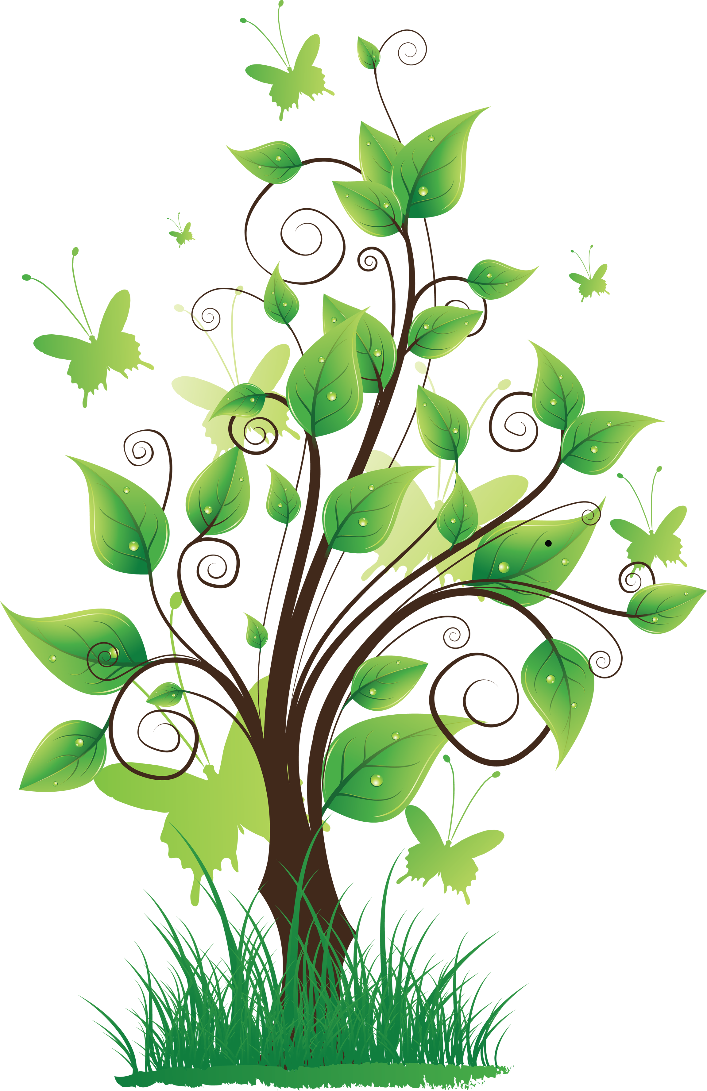 Nature Transparent PNG Image