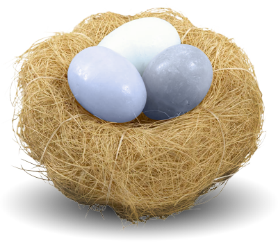 Nest Png Picture PNG Image