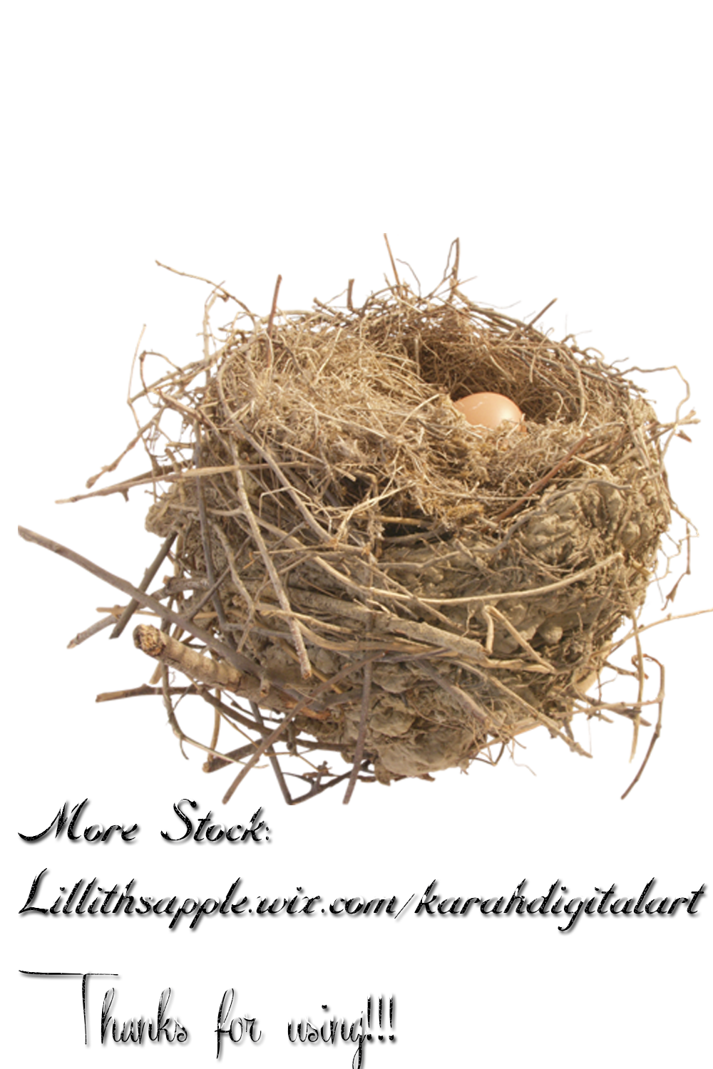 Nest Free Png Image PNG Image