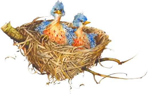 Nest Art Bird Download Free Image PNG Image