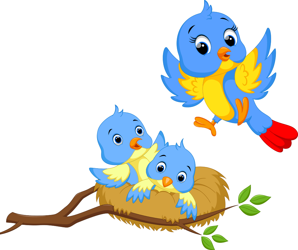 Nest Vector Bird Download HD PNG Image