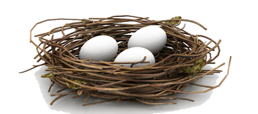 Eggs Nest White Bird Free Transparent Image HD PNG Image