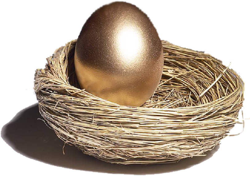 Nest Transparent PNG Image