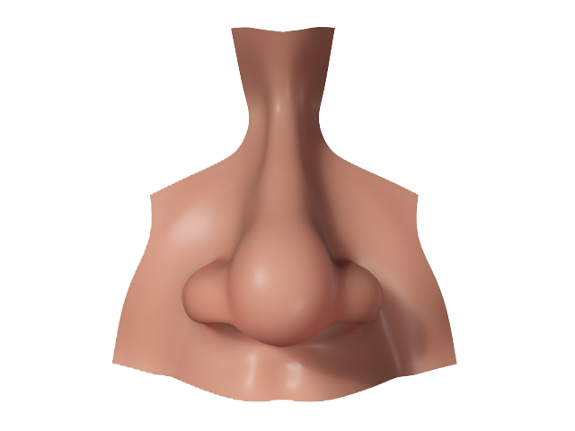 Nose Picture PNG Image