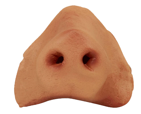 Nose Photo PNG Image