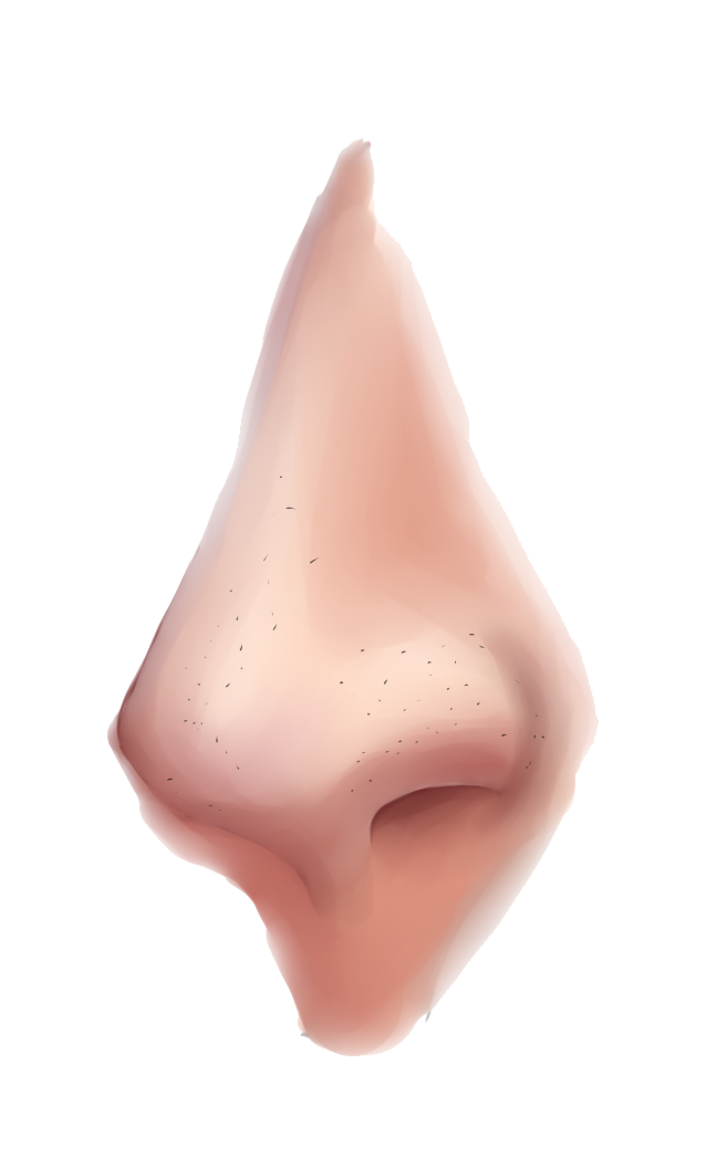 Nose Clipart PNG Image