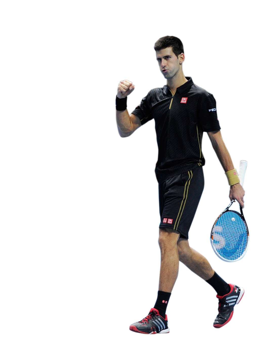 Novak Djokovic Picture PNG Image