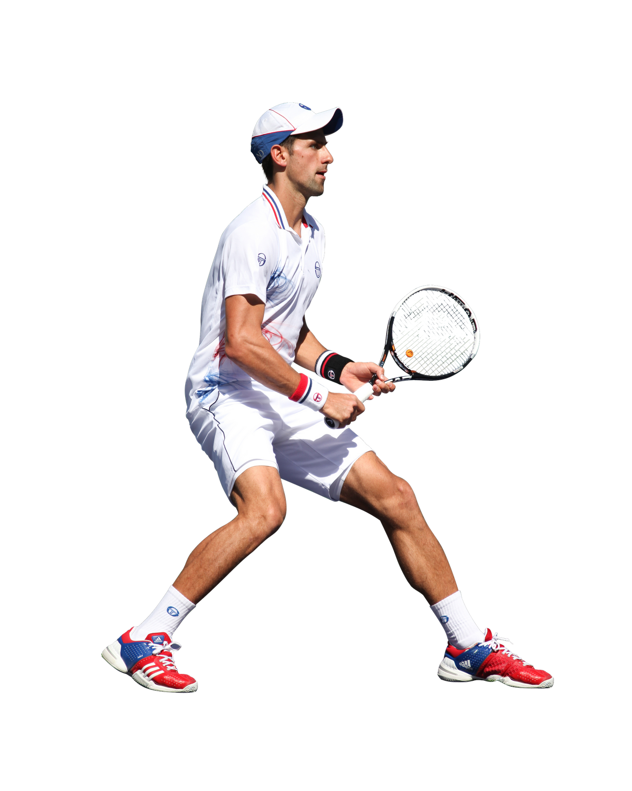 Novak Djokovic Photo PNG Image