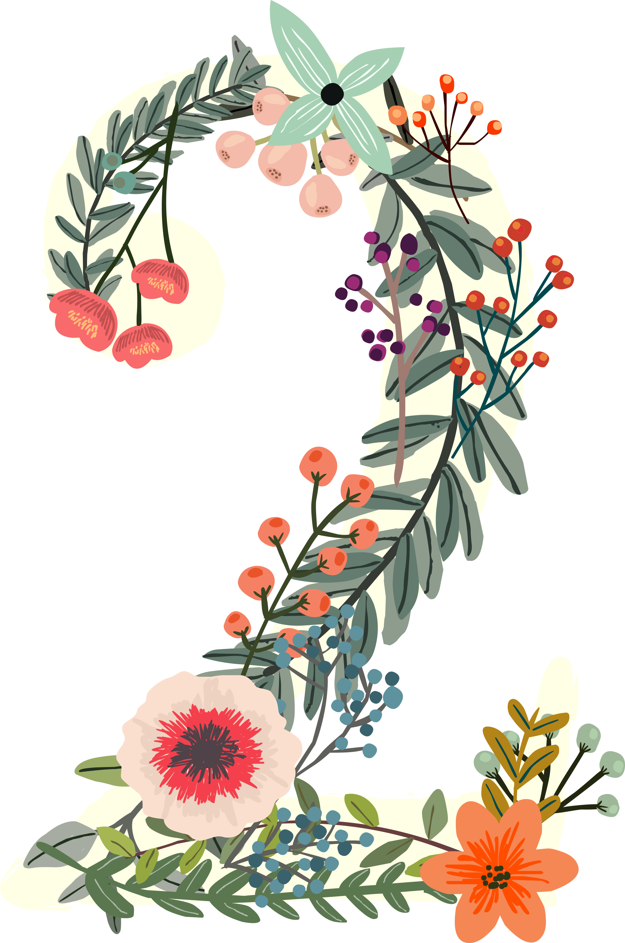 Floral Photos Number HD Image Free PNG Image