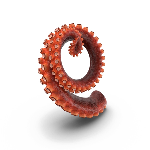 Octopus Tentacles HD Free HD Image PNG Image
