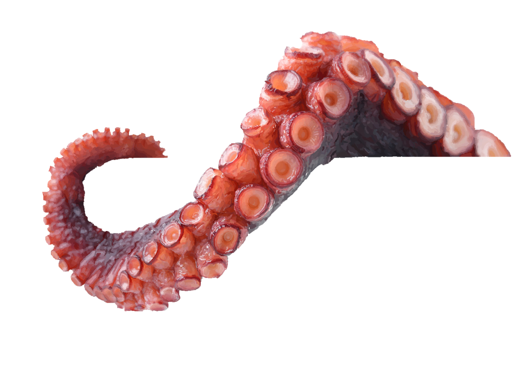 Octopus Tentacles Free PNG HQ PNG Image