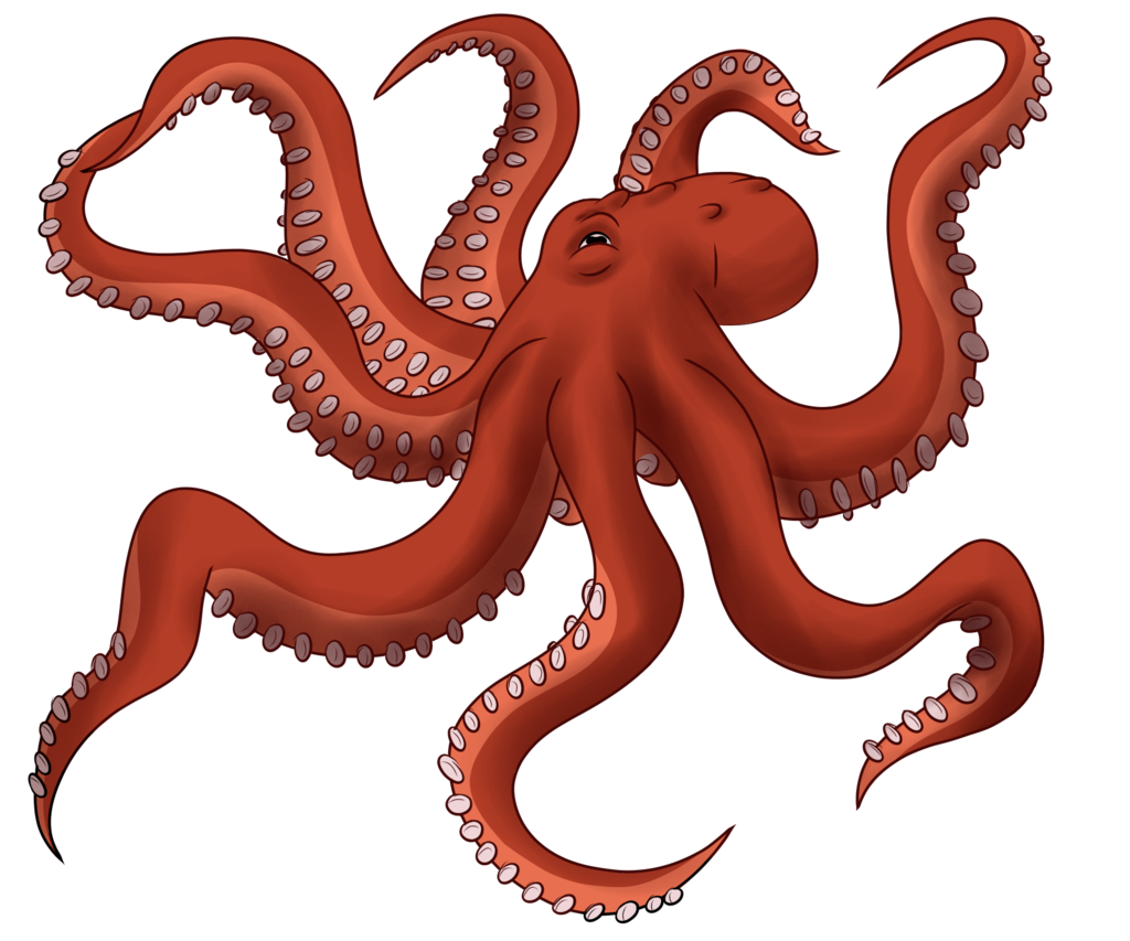 Octopus Toy Image PNG Image High Quality PNG Image